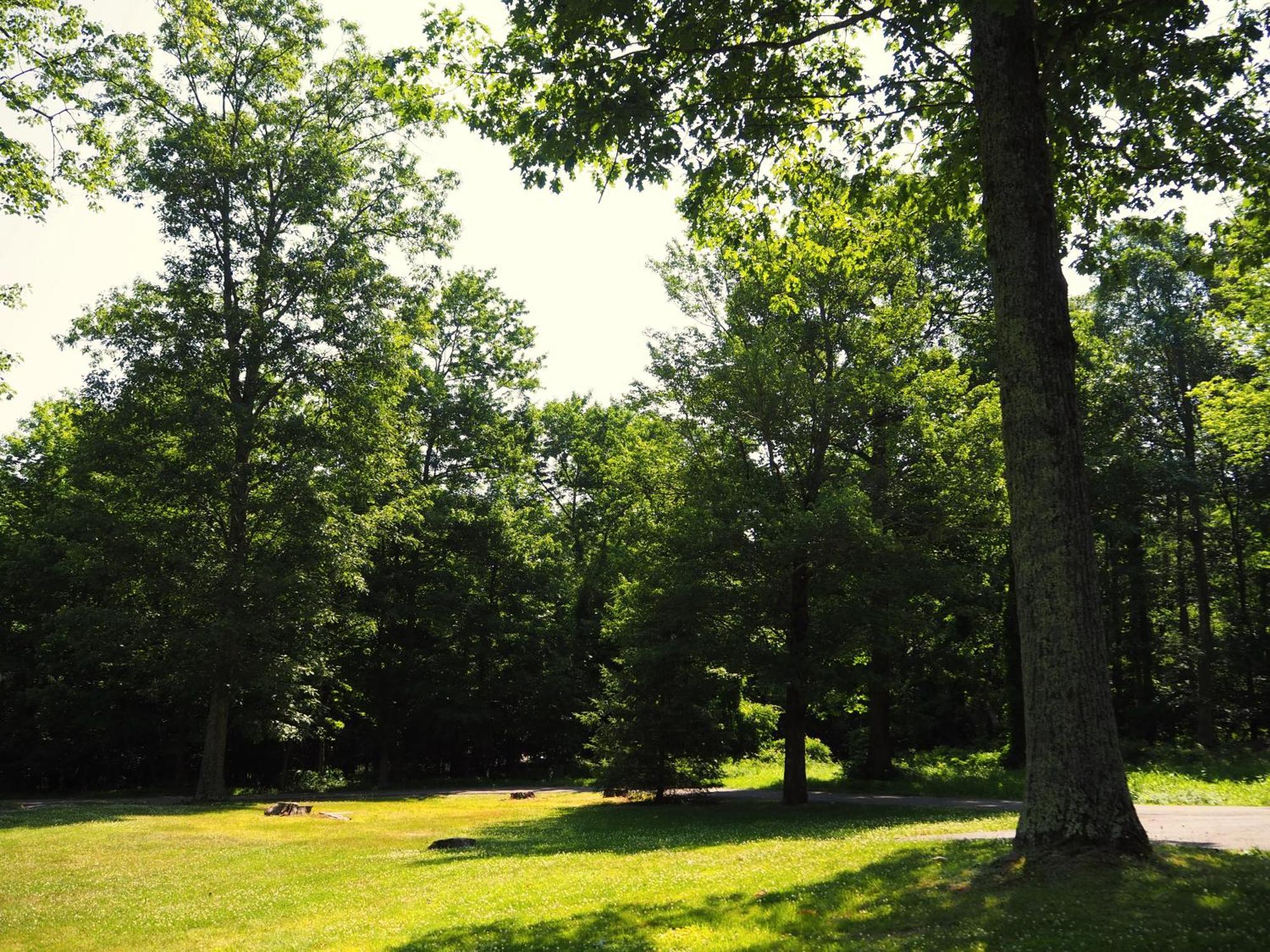 Woodfield Manor - A Sundance Vacations Property Cresco Exteriör bild